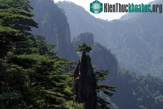 Núi Hoàng Sơn - Trung Quốc- ảnh 16