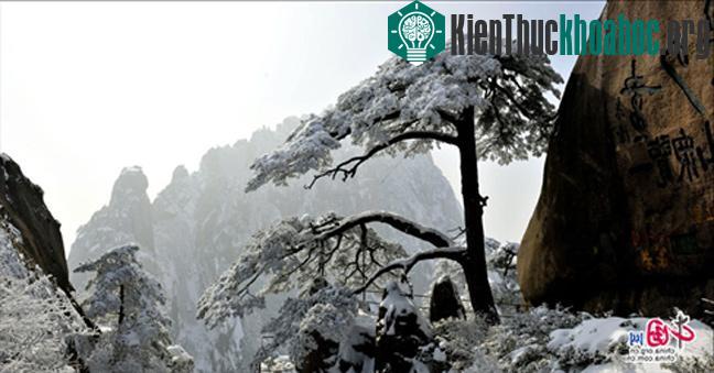 Núi Hoàng Sơn - Trung Quốc- ảnh 18