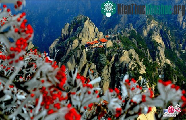 Núi Hoàng Sơn - Trung Quốc- ảnh 19