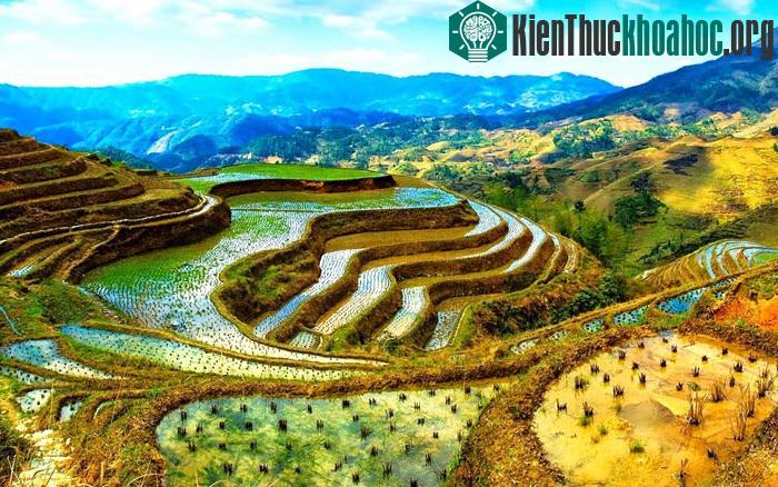 Các ruộng bậc thang này được tổ tiên những người dân bản địa sinh sống tại đây tạo nên