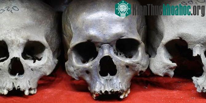 Các nhà khảo cổ đã phát hiện ra hóa thạch vượn đầu tiên tại đây