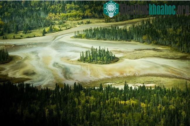 Vườn quốc gia Wood Buffalo - Canada