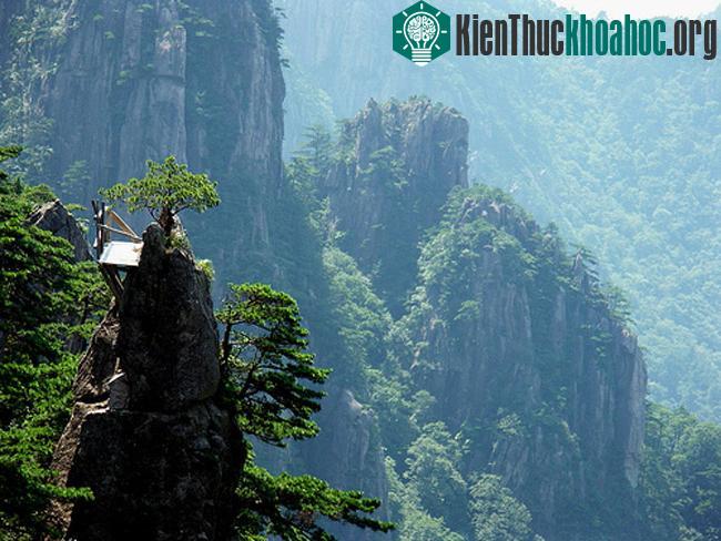 Núi Hoàng Sơn - Trung Quốc- ảnh 3