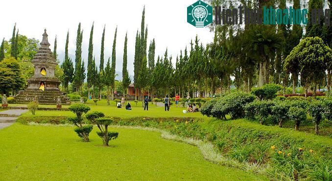 Hệ thống canh tác Subak ở Bali- ảnh 3