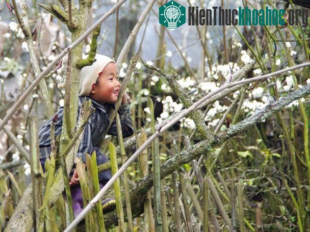 Nụ cười của cậu bé ở Lào Cai. Cậu bé nhút nhát sống trong ngôi làng nhỏ ở miền núi phía Bắc Việt Nam. Em trốn trong rặng cây để nhìn ngó những người khách du lịch nước ngoài. Từ trong rặng cây em n...