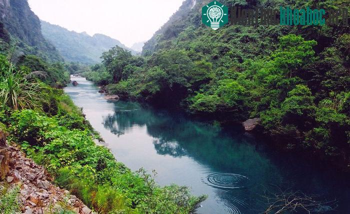 Vườn quốc gia Phong Nha - Kẻ Bàng: Kỳ quan đệ nhất động
