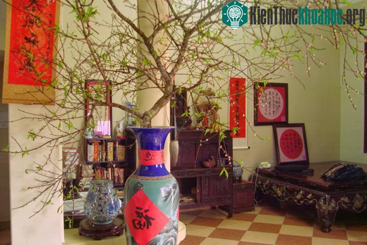 Ngày Tết thường được kể từ ngày Mồng một cho đến hết ngày mồng Bảy. (Ảnh minh họa: internet).