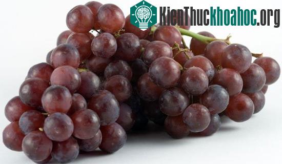 Hãy rửa nho dưới vòi nước