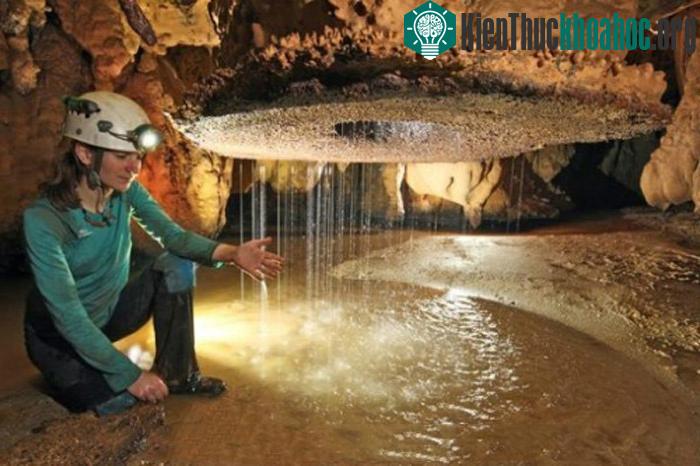 Hệ thống hang động rộng lớn mang vẻ đẹp nguyên sơ với các cột nhũ đá.