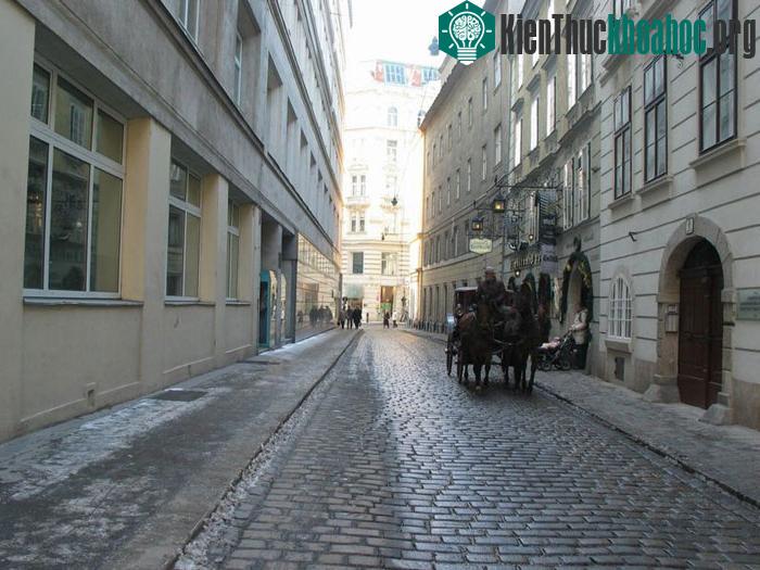 Vienna còn nổi tiếng bởi cảnh quan và không khí ở thành phố này luôn mang lại cho người ta cảm giác lãng mạn, hiền hòa.