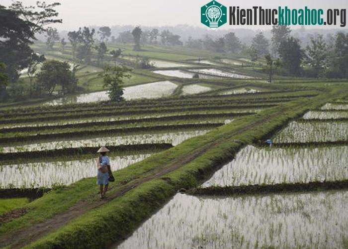 Khu vực bị xói mòn trở thành hồ ai và nơi canh tác nông nghiệp...