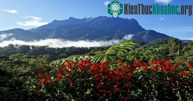 Vườn quốc gia Kinabalu - Malaysia