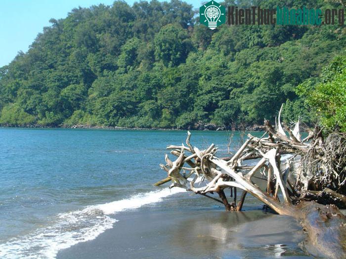 Công viên quốc gia Ujung Kulun - Indonesia