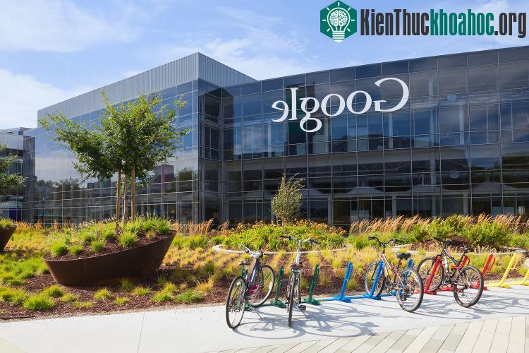 Google nổi tiếng bởi dịch vụ Tìm kiếm của nó, nhân tố chính dẫn đến thành công của Google.