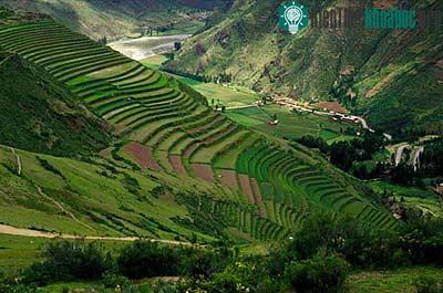 Ruộng bậc thang phía sau núi