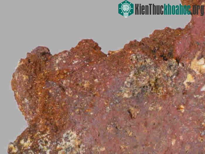 Các nhà nghiên cứu và khảo cổ đã tìm ra được rất nhiều các di chỉ xương người, các đồ săn bắn bằng đá của người tiền sử cách đây hàng triệu năm.