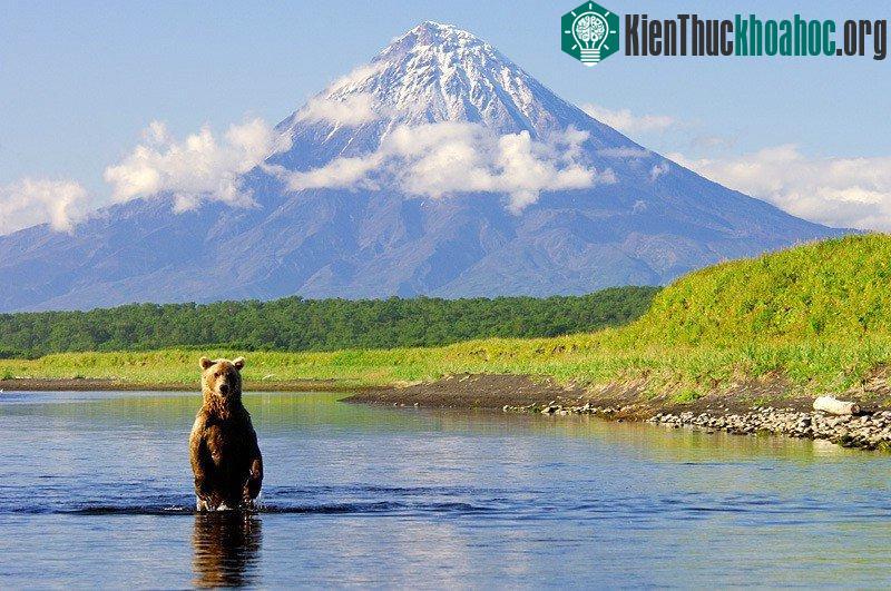 Núi lửa Kamchatka