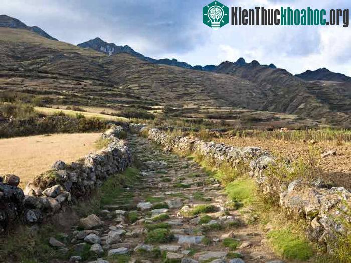 Công trình này có 2 nhánh chính trong đó 1 nhánh đi qua dãy Andes