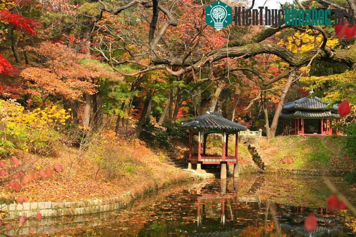 Cung điện Changdeokgung là Cung điện thuần túy Hàn Quốc nhất trong số tất cả các cung điện.