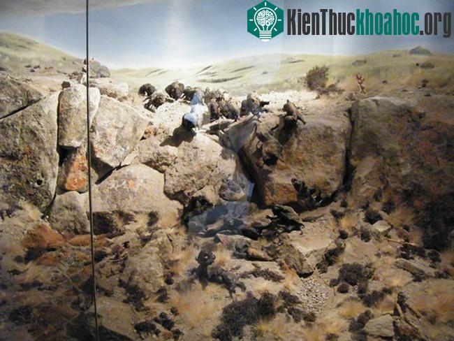 Hình ảnh lùa trâu xuống vực bẫy trâu cho thấy cách thức giết trâu của con người từ cách đây hàng nghìn năm.