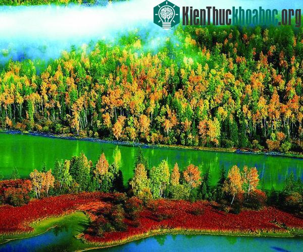 Khu bảo tồn thiên nhiên Cửu Trại Câu - Di sản thiên nhiên của Trung Quốc ảnh 4