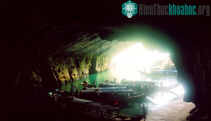 Vườn quốc gia Phong Nha - Kẻ Bàng: Kỳ quan đệ nhất động ảnh 4