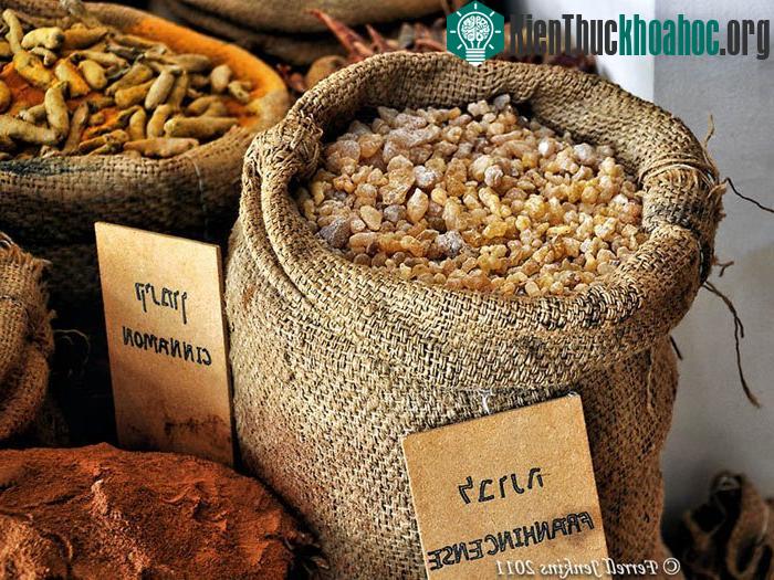 Những hương liệu và gia vị được các nhà buôn vận chuyển từ Ả rập xuyên sa mạc qua Địa Trung Hải để trao đổi, buôn bán