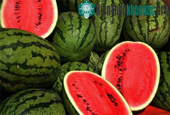 Bạn nên rửa dưa hấu dưới dòng nước lạnh bằng tay hoặc bằng bàn chải.