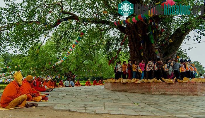 Cây bồ đề và ao Puskarini, nơi hoàng hậu Mayadevi làm lễ nhúng nước trước khi sinh Đức Phật