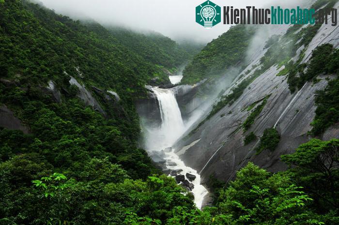 Đảo Yakushima còn có một ngọn thác rất đẹp đó là thác Toriki, thác này đổ trực tiếp xuống biển, hai bên thác là những vách đá dựng đứng, nước đổ từ thác xuống biển tạo nên cảnh tượng hũng vĩ vô cùn...