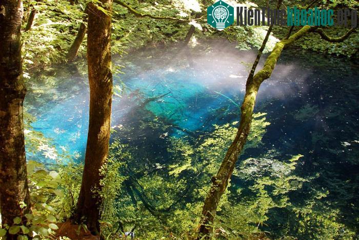 Cảnh sắc thiên nhiên tuyệt đẹp tại vùng núi Shirakami