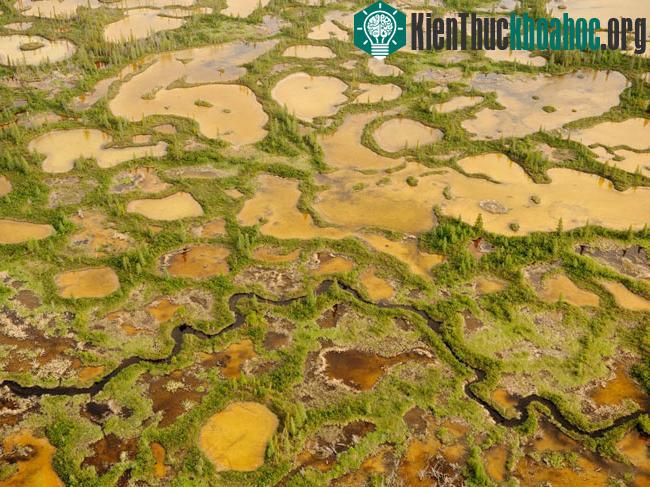 Vào mùa khô hạn, tại đây xuất hiện cánh đồng muối và đây cũng là cánh đồng muối duy nhất ở Canada