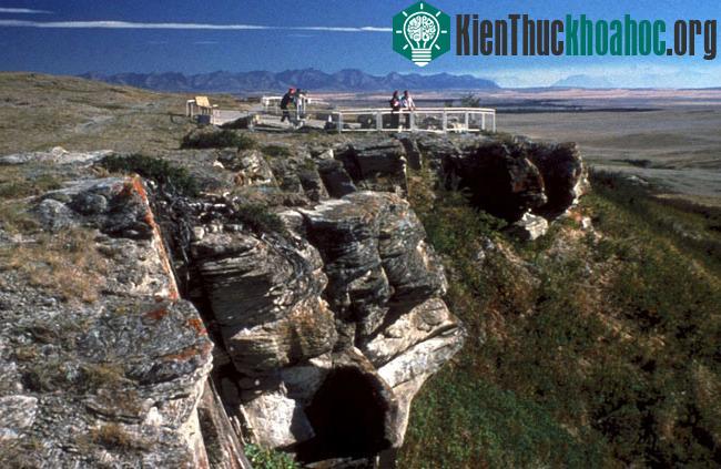 Vực bẫy trâu Head-Smashed-In - Canada
