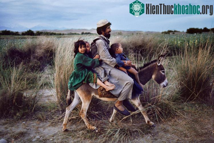 Một gia đình người Afghanistan.
