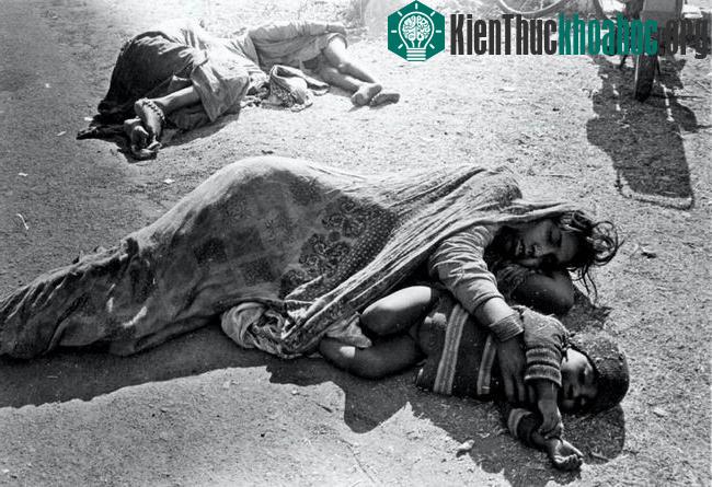 Vụ rò rỉ chất độc - Thảm án Bhopal