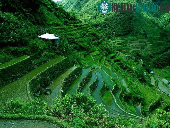 Các ruộng bậc thang này có độ cao 1.500 mét so với mặt nước biển và có diện tích 10.360 km2.