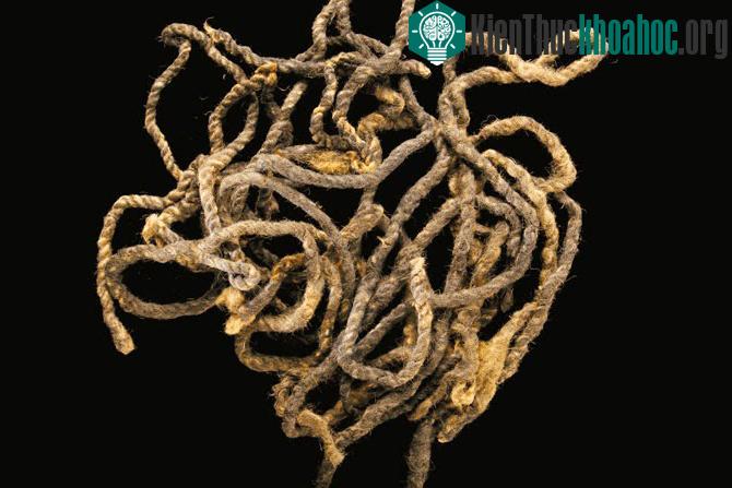 Có nhiều giả thuyết, tranh cãi về việc người Viking đã tìm ra Châu Mỹ chứ không phải Columbus.