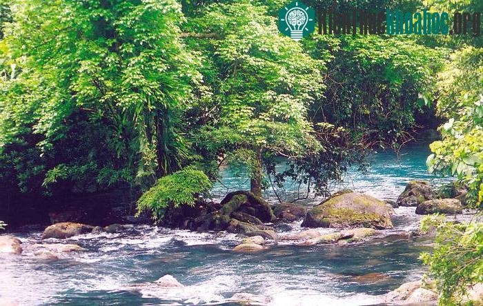 Vườn quốc gia Phong Nha - Kẻ Bàng: Kỳ quan đệ nhất động ảnh 6