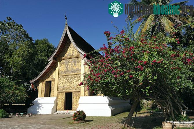 Thành phố Luang Prabang- Lào- ảnh 8