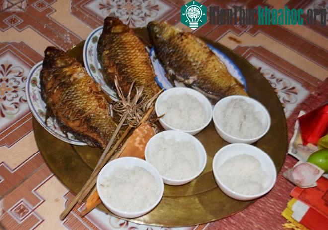Nghi lễ và trò chơi kéo co - Di sản nhân loại