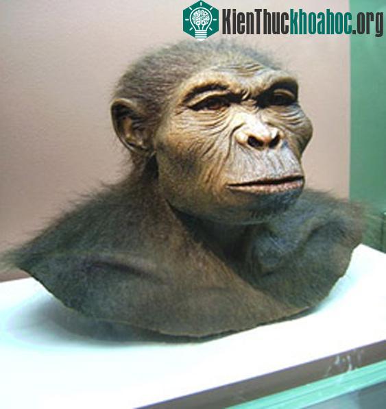 Di chỉ “Người vượn Bắc Kinh” tại Chu Khẩu Điếm - Trung Quốc