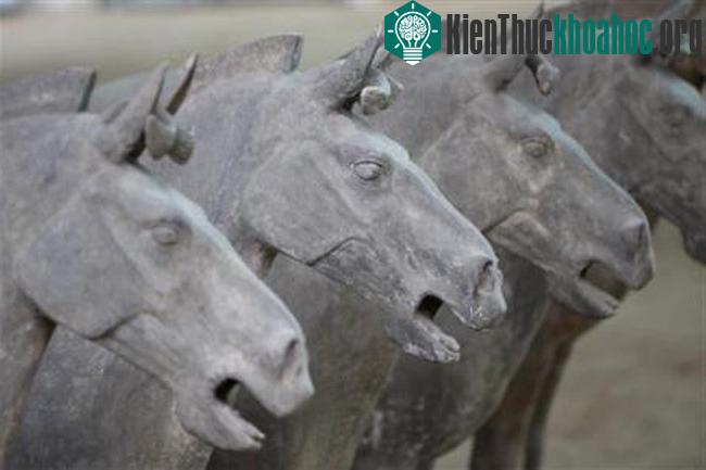 Lăng mộ Tần Thủy Hoàng - Trung Quốc