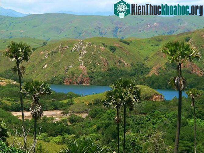 Vườn quốc gia Komodo - Indonesia