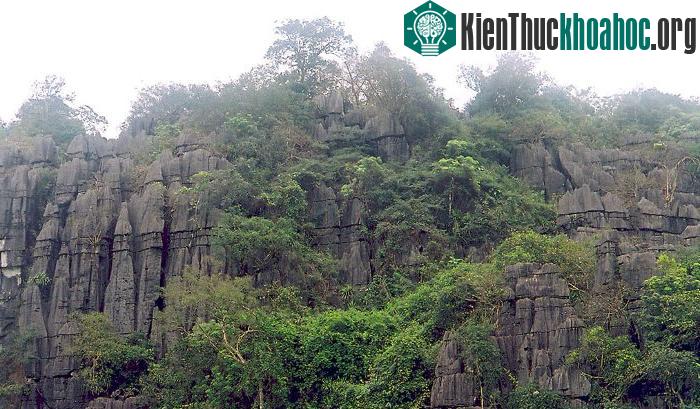 Vườn quốc gia Phong Nha - Kẻ Bàng: Kỳ quan đệ nhất động ảnh 7