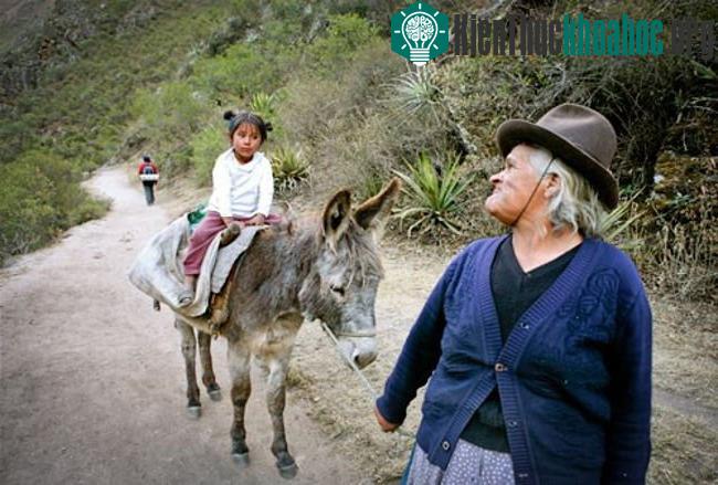 Đường mòn Inca có những đoạn rất hẹp, có đoạn treo leo lại có những đoạn đường dốc dọc hai bên đường là cảnh quan thiên nhiên đẹp mắt và rất nhiều di chỉ vốn là những tàn tích còn sót lại của đế ch...