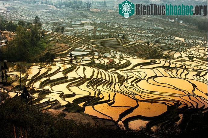 Các ruộng bậc thang tại Philippine Cordilleras lọt vào danh sách những ruộng bậc thang đẹp nhất thế giới