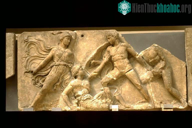 Một số phù điểu, hình chạm khắc và những ảnh tư liệu về đền thờ Apollo được lưu giữ, bảo quản tại bảo tàng.