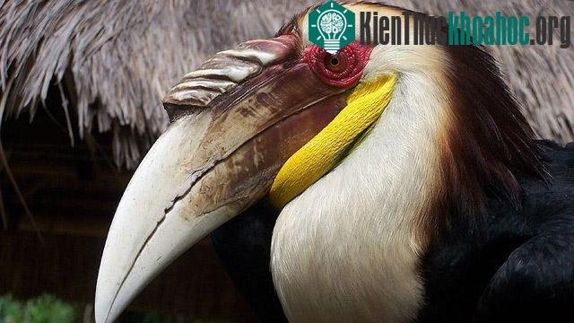 Ở đây hệ thực vật, động vật và thủy sản vô cùng phong phú.