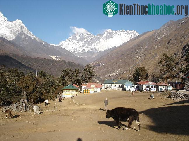 Công viên quốc gia Sagarmatha - Nepal- ảnh 9