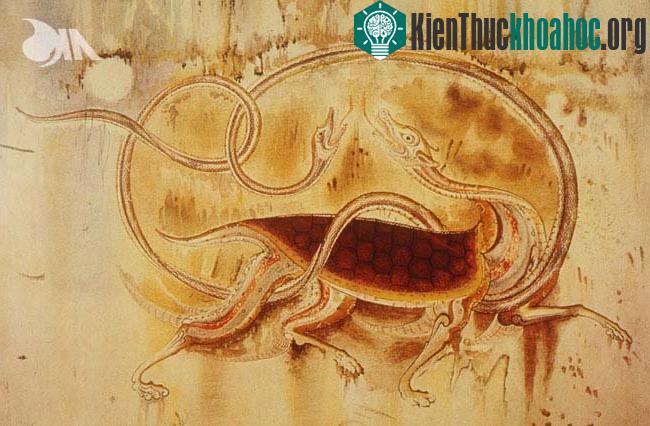 Kinh thành và lăng mộ Cao Cú Ly - Di sản văn hóa của Trung Quốc ảnh 8